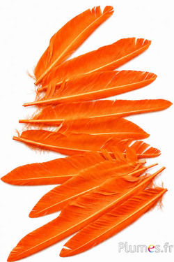Gans kop - 15-20 cm - oranje
